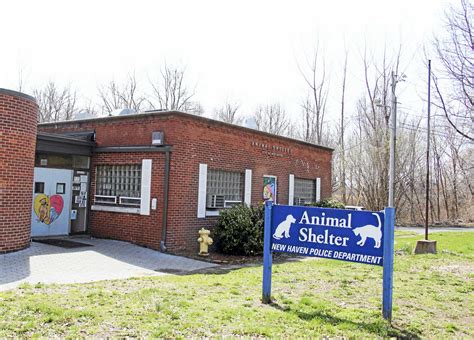 New haven animal shelter - Happy National Animal Shelter Appreciation Week from some of our adoptable dogs! Friends of the New Haven Animal Shelter · 1d · ...
